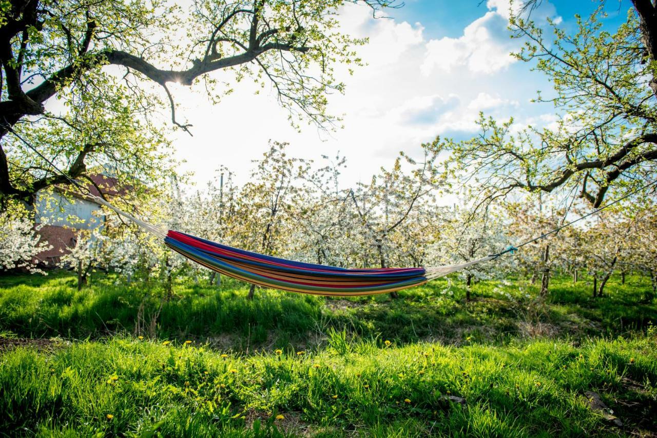 Deichkroenchen Ferienwohnung Altes Land Hamburg Jork Luaran gambar